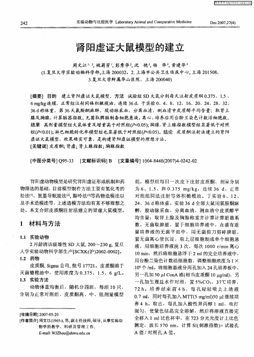 肾阳虚证大鼠模型的建立