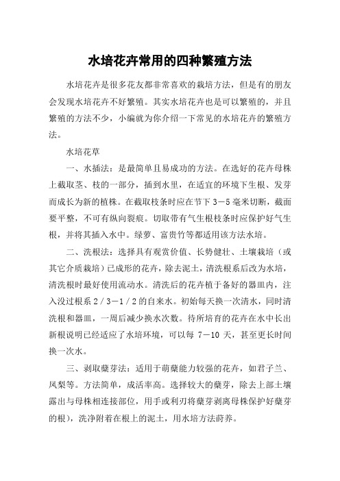 水培花卉常用的四种繁殖方法