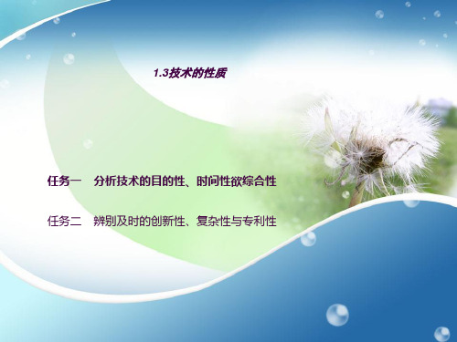 1.3技术的性质ppt课件