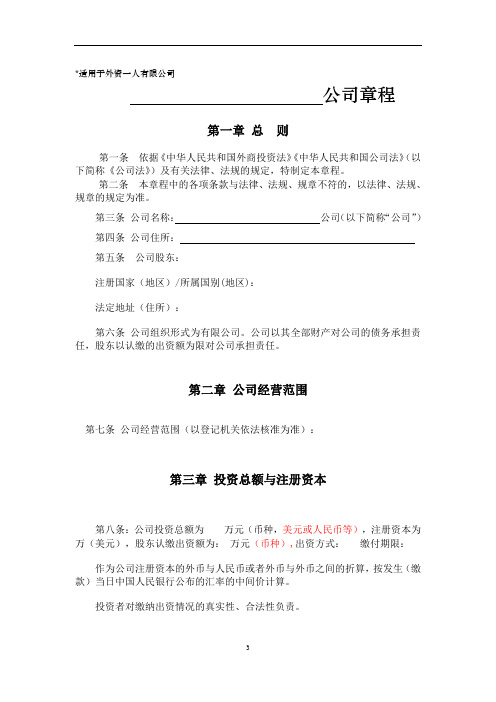 外资一人公司章程设董事会设监事会