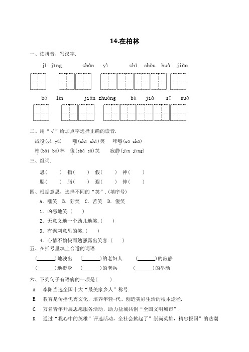 人教部编版六年级语文上册一课一练14在柏林(含答案)