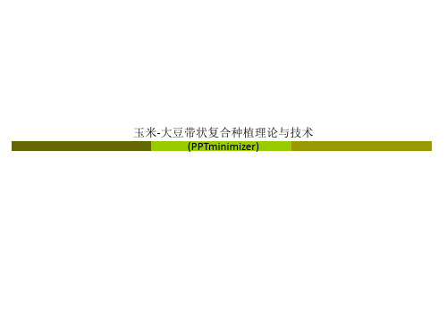 玉米-大豆带状复合种植理论与技术 (PPTminimizer)