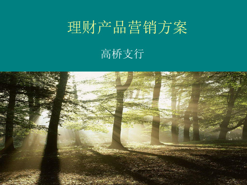 理财产品推广方案ppt