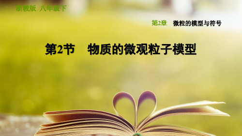 浙教版科学八年级下册第二章《微粒的模型与符号》2.2 物质的微观粒子模型