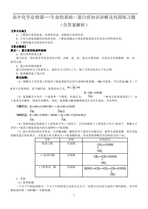 高中化学必修课---生命的基础—蛋白质知识讲解及巩固练习题(含答案解析)