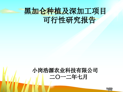 黑加仑种植及深加工产业解析