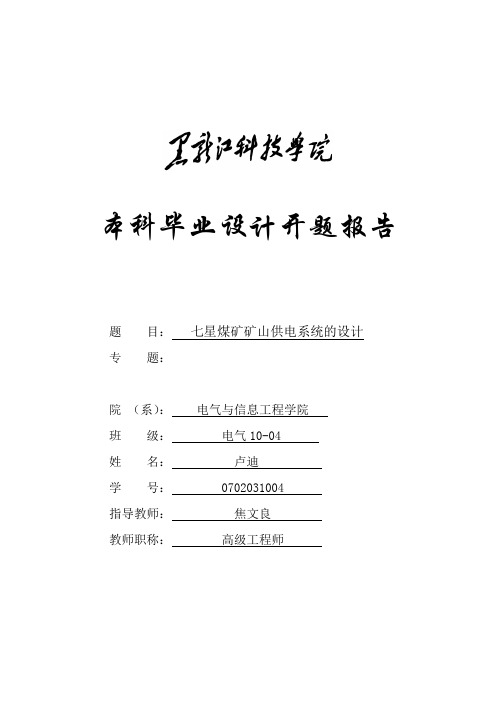 卢迪开题报告