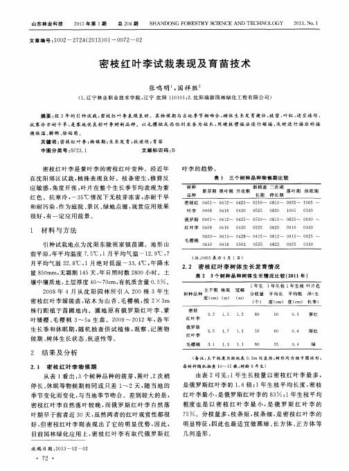 密枝红叶李试栽表现及育苗技术