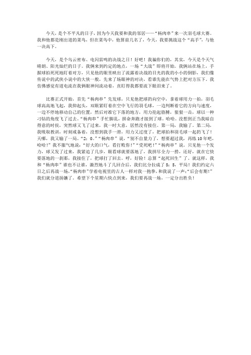写打羽毛球的作文700字羽毛球大战