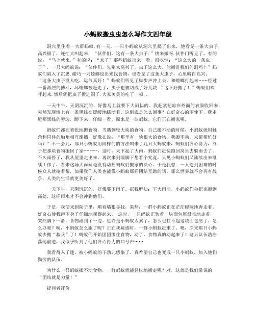 小蚂蚁搬虫虫怎么写作文四年级
