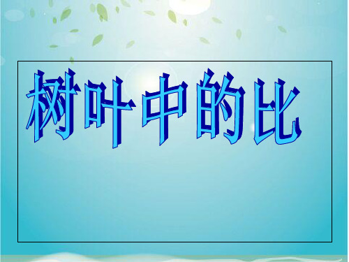 六年级上册数学课件-3 树叶中的比丨苏教版 (共42张PPT)