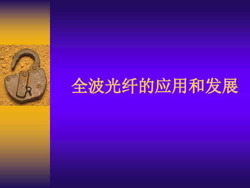 全波光纤