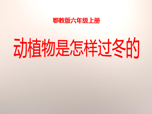 《动植物是怎样过冬的》四季中的变化 PPT实用课件
