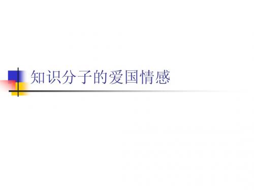 知识分子的爱国情感2011