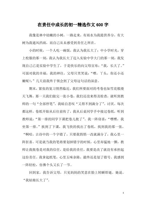 在责任中成长的初一精选作文600字