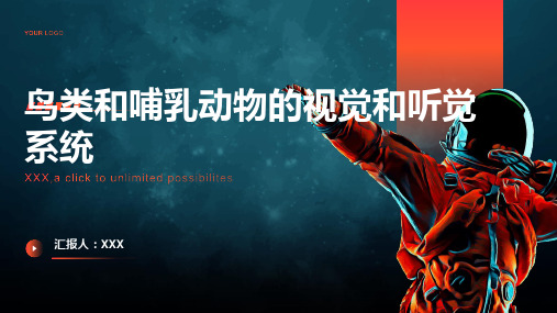 鸟类和哺乳动物的视觉和听觉系统