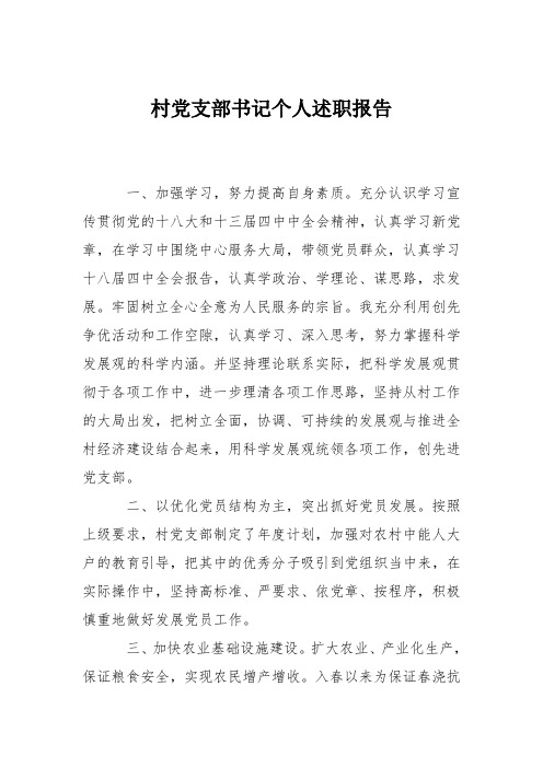 村党支部书记个人述职报告