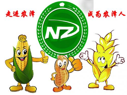 黑龙江春播玉米高产技术