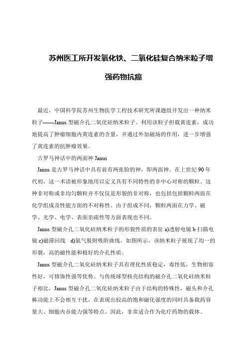 【精品文章】苏州医工所开发氧化铁、二氧化硅复合纳米粒子增强药物抗癌