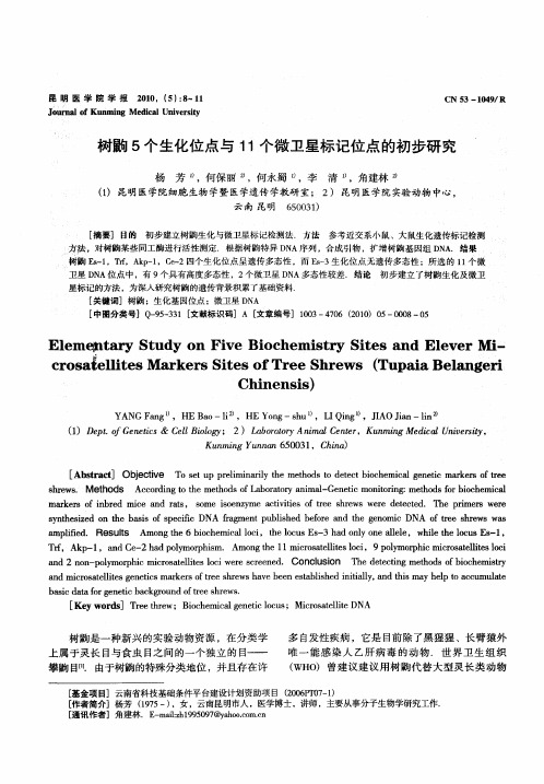 树鼩5个生化位点与11个微卫星标记位点的初步研究