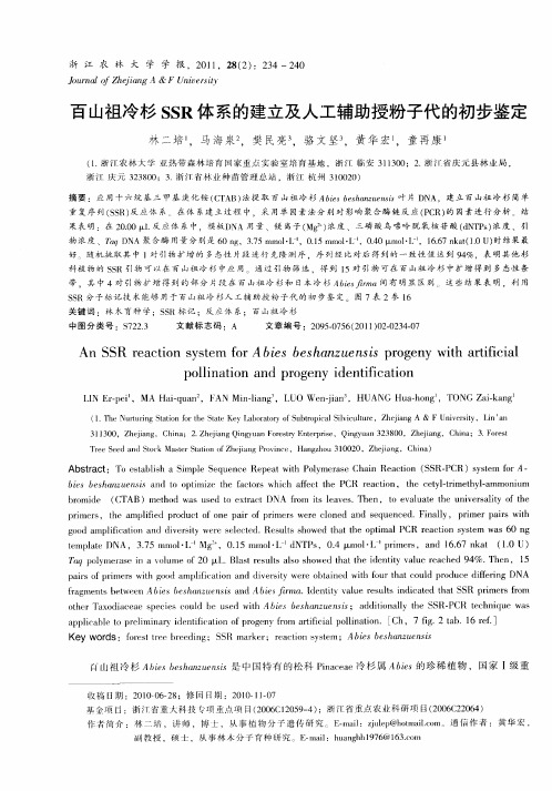 百山祖冷杉SSR体系的建立及人工辅助授粉子代的初步鉴定