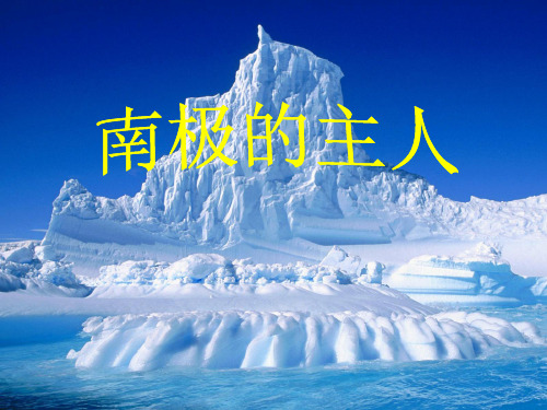 《南极的主人》PPT课件