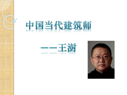 王澍详细资料及生平