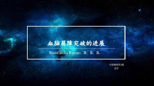血脑屏障及其突破课堂讲解