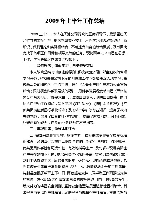 2009年上半年个人工作总结(刘见见)