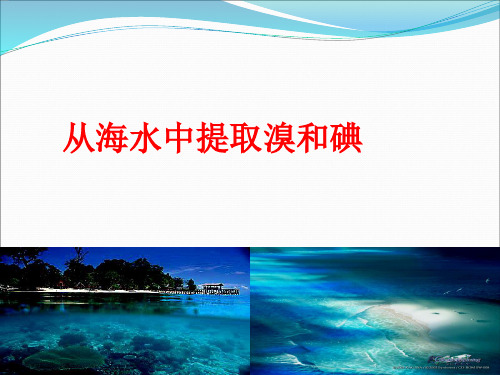 从海带中提取溴与碘课件