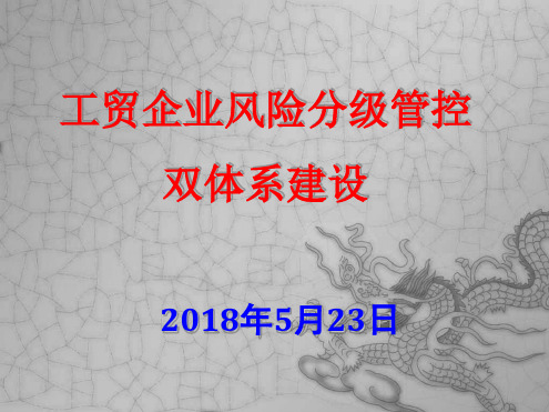 工贸企业风险分级管控双体系建设方案