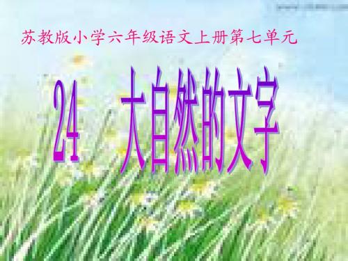 《大自然的文字》公开课课件