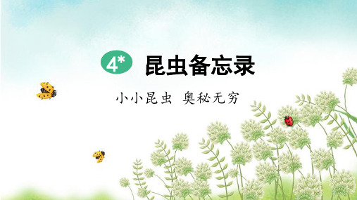 部编版三年级语文下册第4课《昆虫备忘录》精品课件