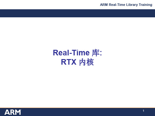RL-RTX应用
