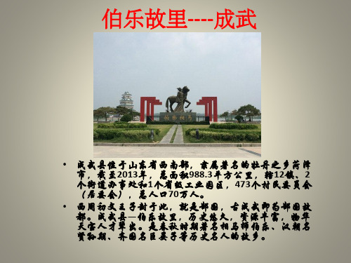 伯乐故里----成武