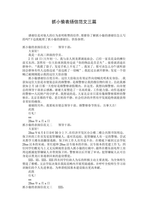 抓小偷表扬信范文三篇