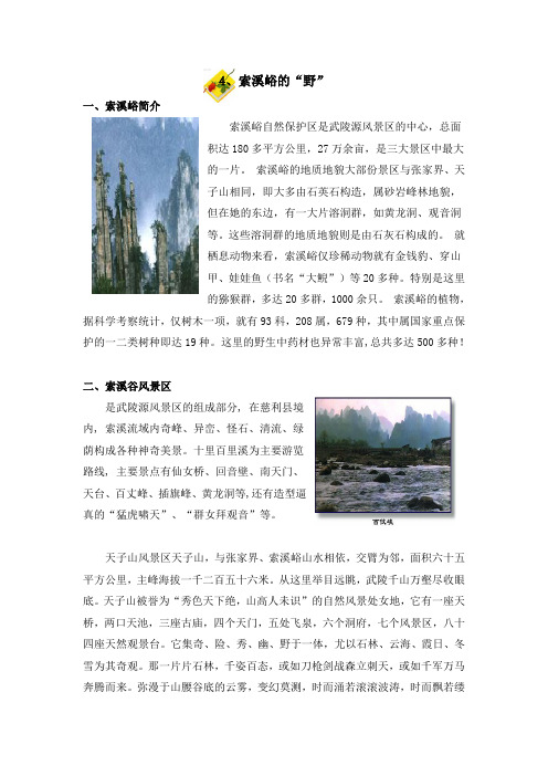 索溪峪的“野”补充资料