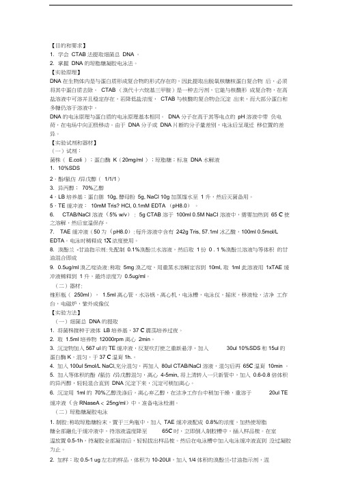 CTAB法提取细菌DNA