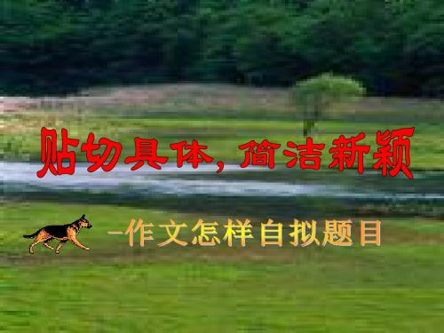 高考作文如何拟题课堂用.ppt1