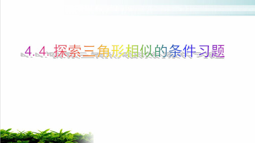 北师大版数学九年级上册探索三角形相似的条件习题PPT优秀课件