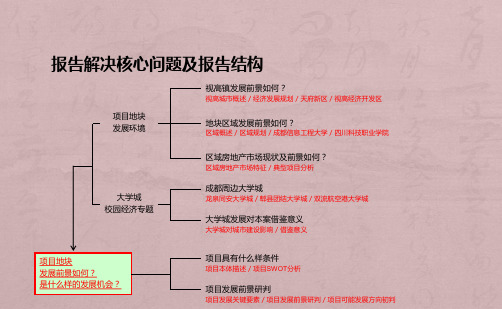 视高项目发展前景研究201506