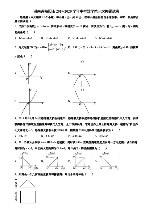 湖南省益阳市2019-2020学年中考数学第三次押题试卷含解析