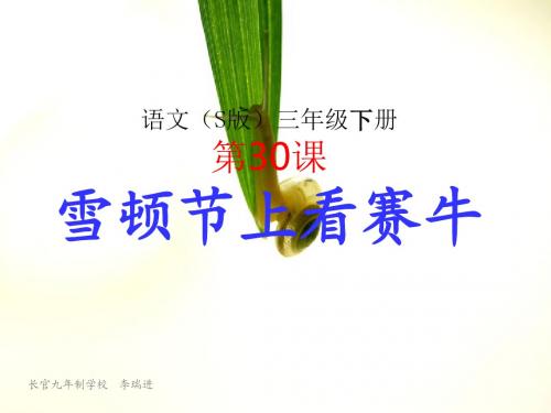 语文S版三年级下册第三十课  雪顿节上看赛牛