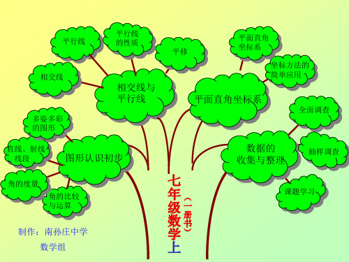 知识树图片大全