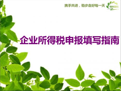 企业所得税申报填写指南-PPT精选文档