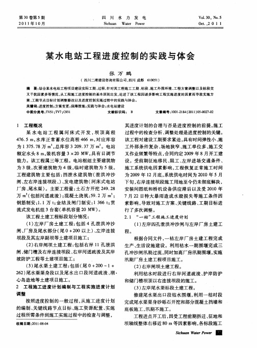 某水电站工程进度控制的实践与体会