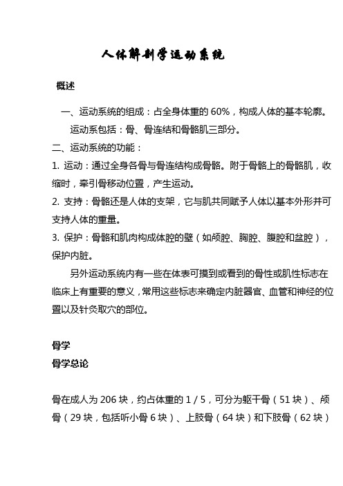人体解剖学运动系统