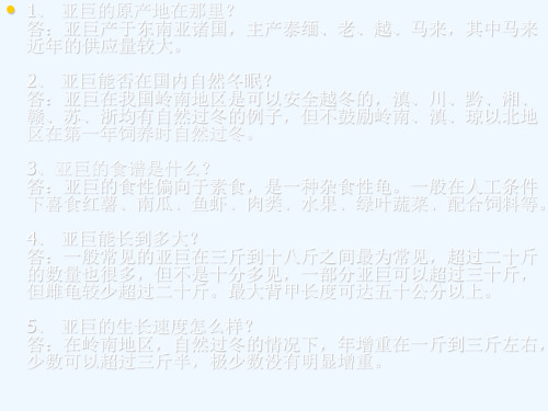 亚巨的饲养