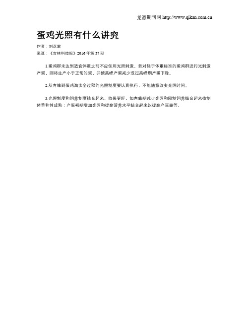 蛋鸡光照有什么讲究