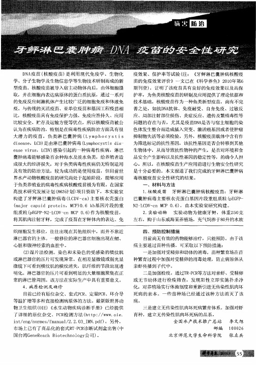 牙鲆淋巴囊肿病DNA疫苗的安全性研究